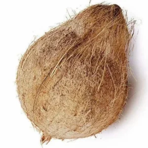 Semi Husked Coconut – Medium (500g)