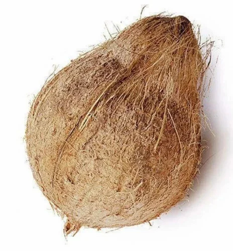 500g-semi-husked-white-coconut-500x500 500g-semi-husked-white-coconut-500x500