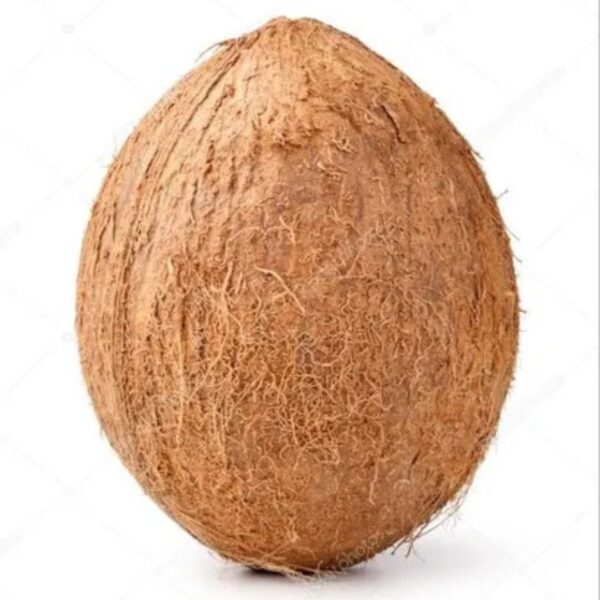 Semi Husked Coconut – Small (300g)