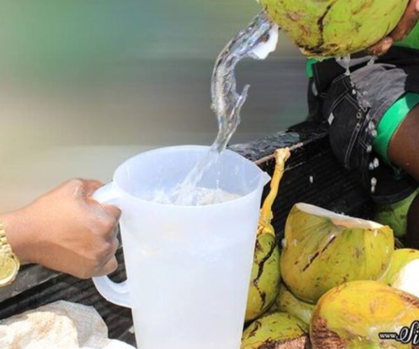 Tender Coconut (1)