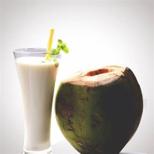 Tender Coconut Shake (300ml)
