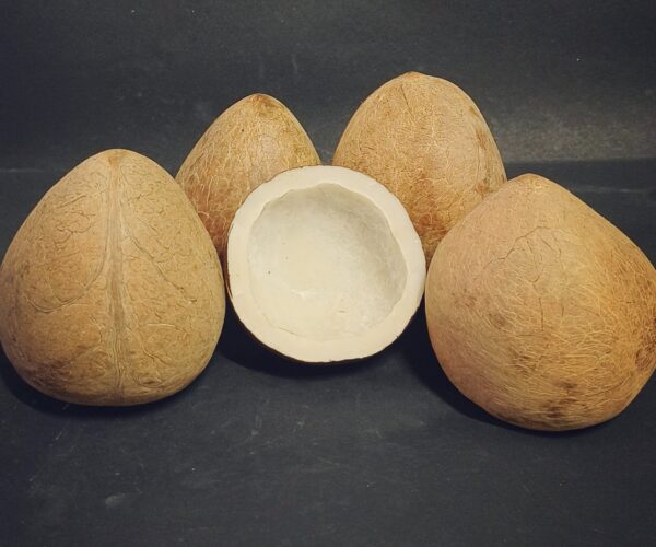 coconut-copra coconut-copra