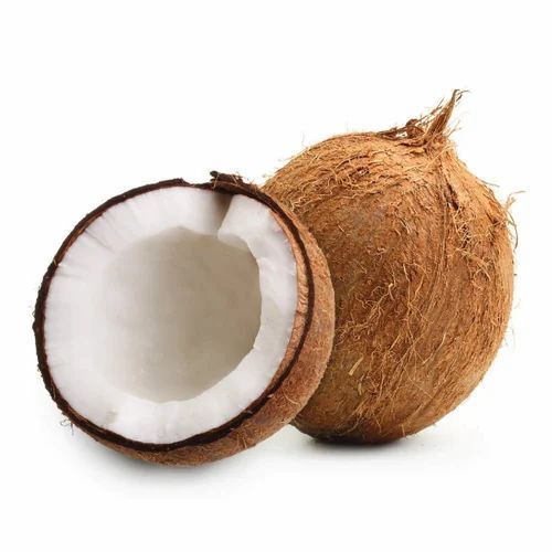 semi-husked-coconut-349 semi-husked-coconut-349